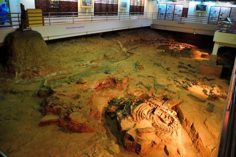 Destination: Sirindhorn Museum — An Awesome Dinosaur Museum (Non Buri ...