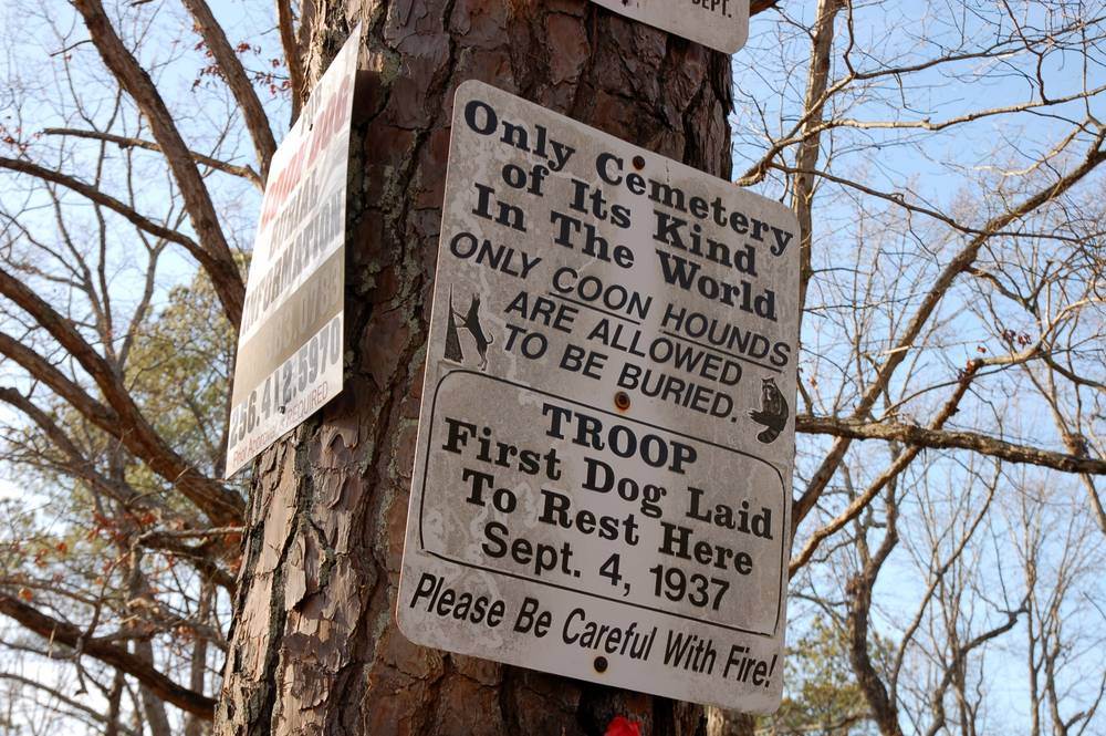 Destination: The World’s Only Coon Dog Cemetery (Alabama, USA) - Worthy Go